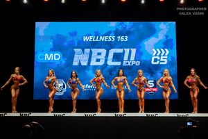 WELLNESS 163